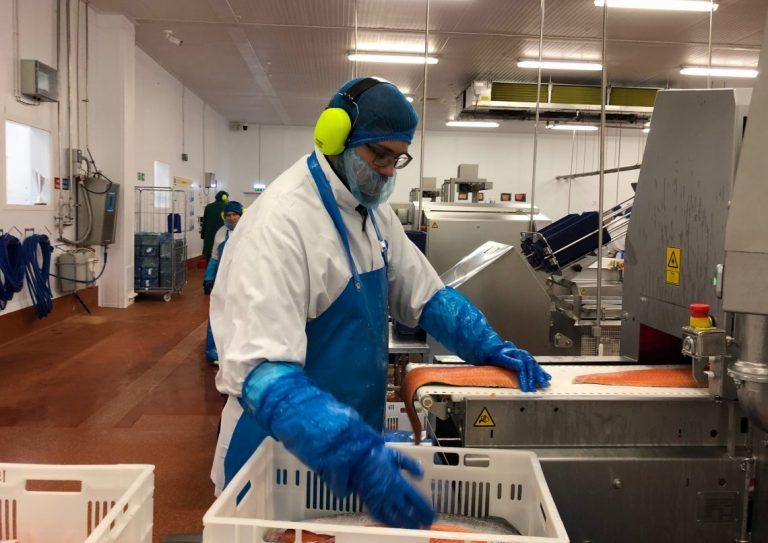The price of salmon continues to rise – up by 50% in two months