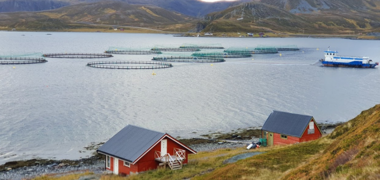 Grieg Seafood targeting cost leadership and more than 150,000 tonnes by 2025