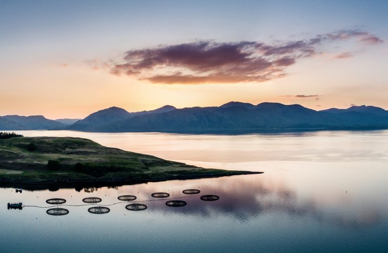 Scottish Aquaculture Innovation Centre receives £10 million funding package