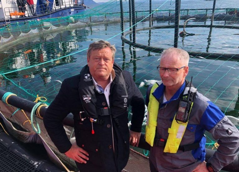 Salmon farmers allowed to increase production after summer algae outbreak: “I hope this will help them get back on their feet”