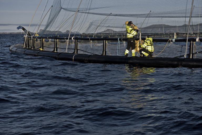 Mowi enters into global frame agreement with AKVA group