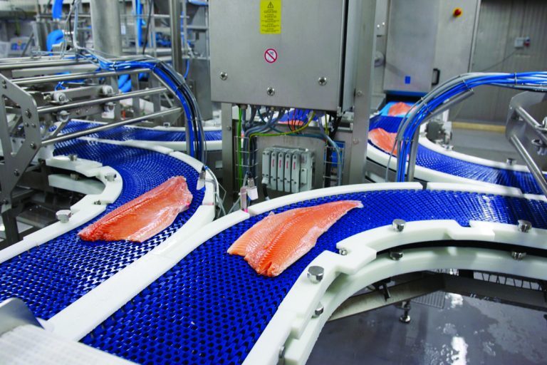 Hätälä: “Our newest flaming and hot-smoking lines are producing raw material up to 4000kg/hour”