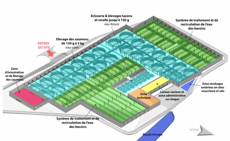 Brothers eye up 10,000 tonnes land-based salmon farming operation in Brittany, France