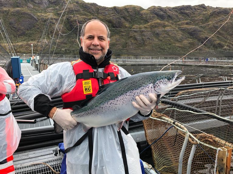 Multiexport Foods harvests salmon from Magallanes for first time