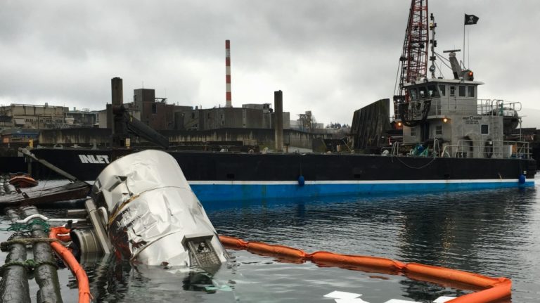 DFO looking into dead salmon silage incident to determine if licence conditions have been breached