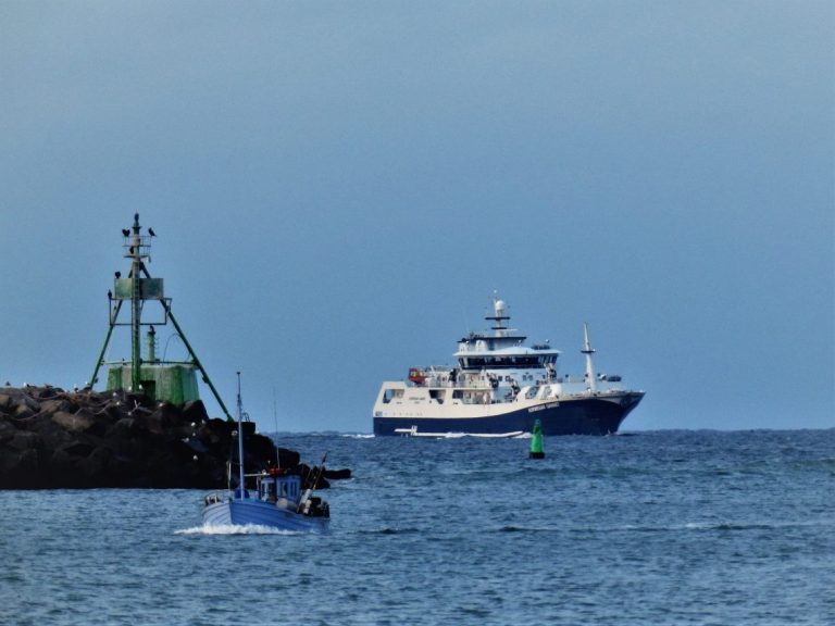 Can a former fishing tycoon’s strategy work in salmon farming?