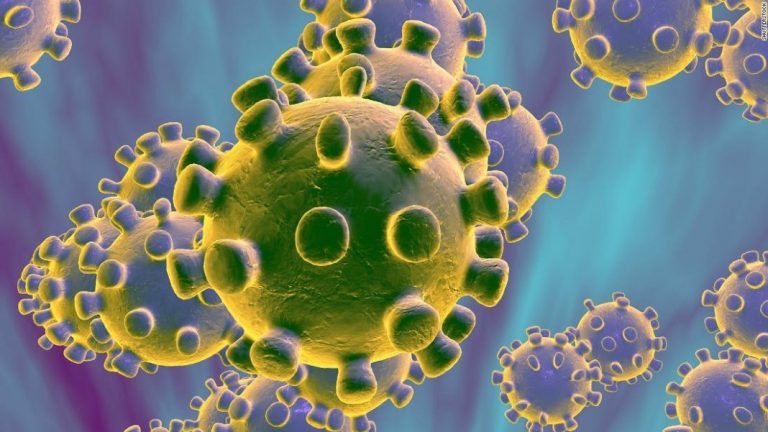 Aquafeed conference cancelled due to coronavirus