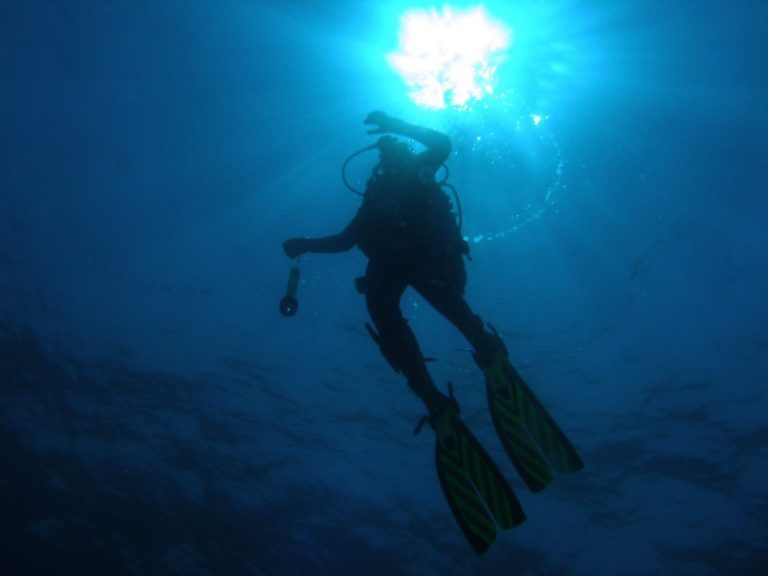 Diver dies at salmon farm – 16 people died in 2019
