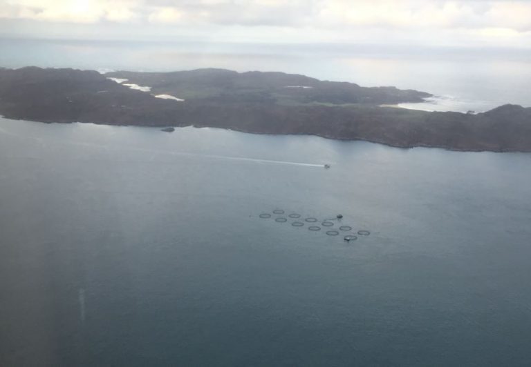 73,600 salmon escape from Mowi Scotland site after Storm Brendan