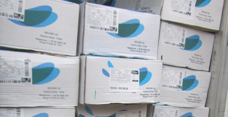 Russia sends back Chilean salmon