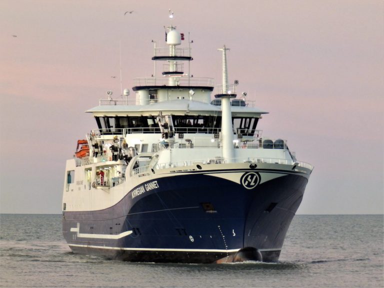 High mortalities for Arnarlax: “Norwegian Gannet” on its way to Iceland to help with harvest