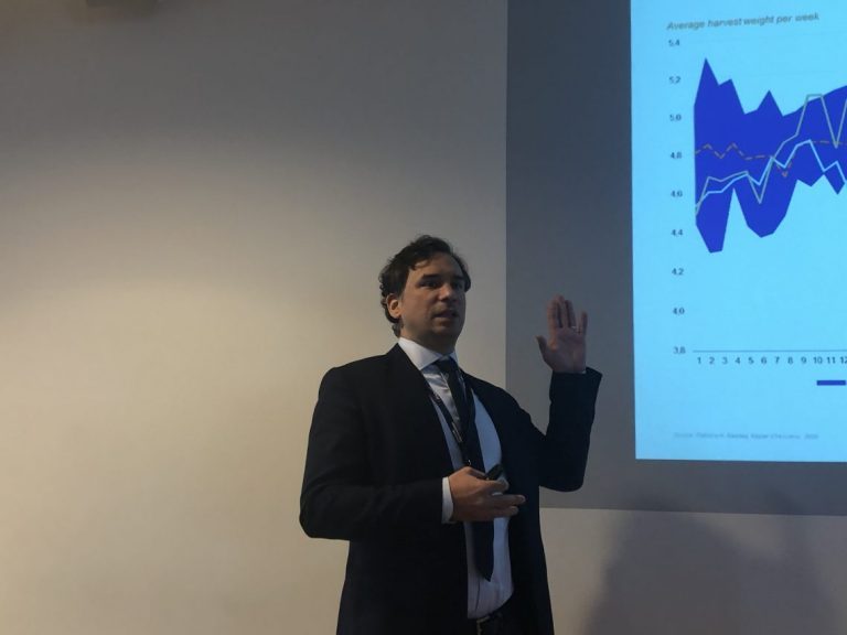 Rabobank: Situation in China won’t ruin the growth in the salmon market