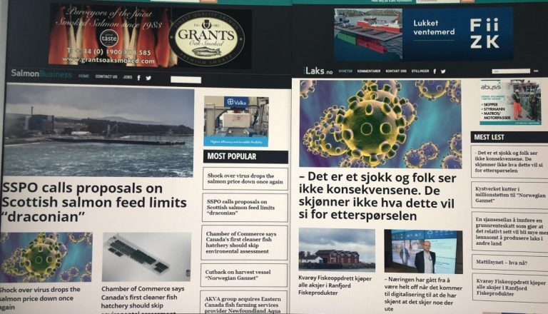 2020 is off to an amazing start for SalmonBusiness and iLaks: 200,000 unique users