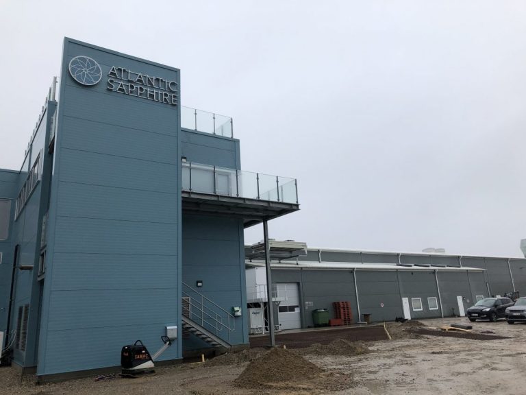 Atlantic Sapphire lost at least $ 3 million on fish mortality