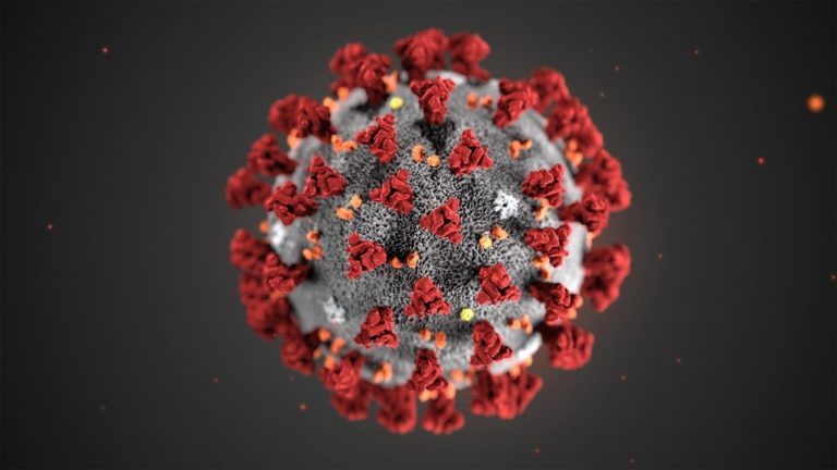 The corona virus: This is how the listed salmon companies cope