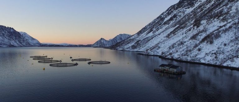 Cermaq workers in remote salmon farm quarantined over coronavirus