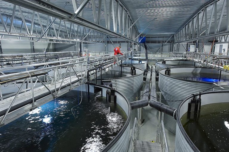 AKVA eyes up $130 million contract to supply 15,000 tonne-a-year land-based salmon farm in Maryland, USA