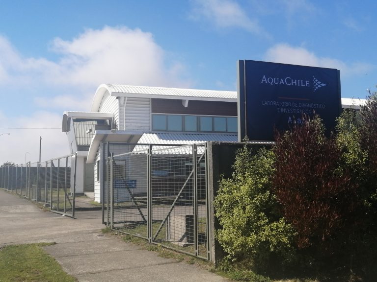 World’s second largest salmon farmer turns molecular biology lab into coronavirus testing facility