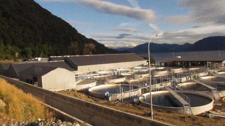 Workers caught coronavirus from Mowi-owned site