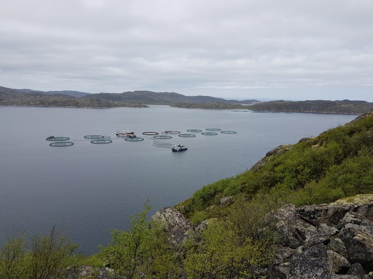 Russian Aquaculture gears up for 35,000 tonnes by 2025, will produce larger smolt for sites in coldest areas