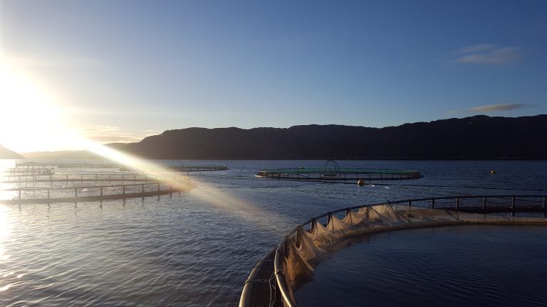 Increase in production volumes nets healthy result for Russian Aquaculture