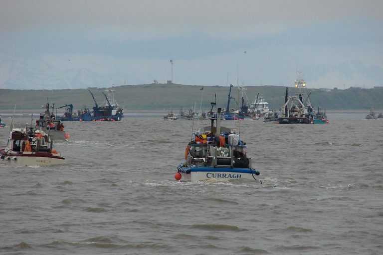 Alaska town only has a 16-bed hospital for influx of workers and fisherman during its salmon run