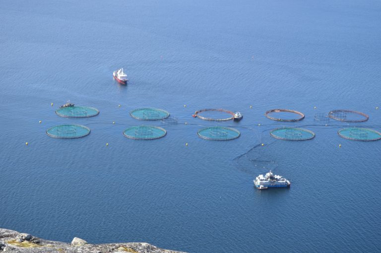 Russian Aquaculture on the front line: 20% of company’s value is wiped out in stock market bloodbath