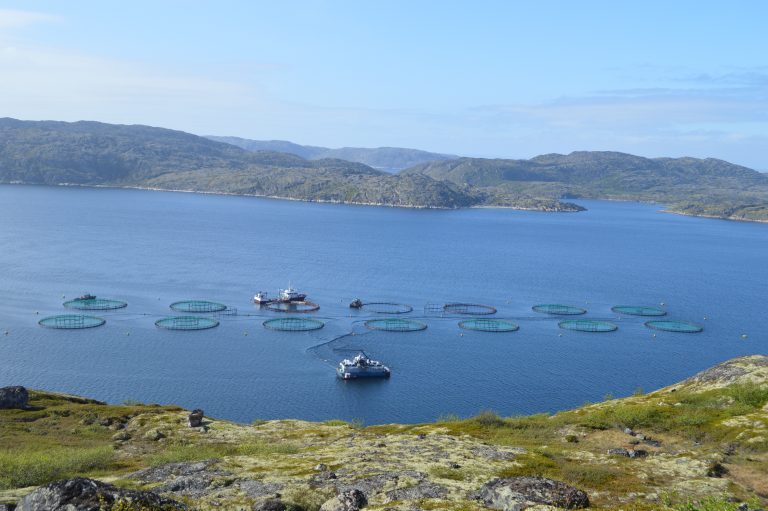 Russia to invest in the Arctic and will provide government aid for salmon brood facility