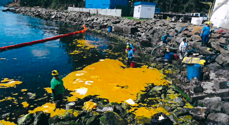 Salmon farmer hit with €427,000 lawsuit over fish oil spill