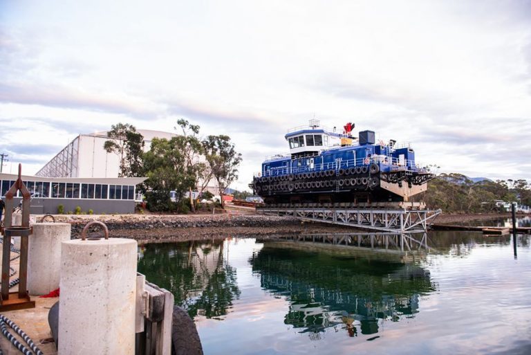 Producer reprimanded after freezing dolphin remains without consent