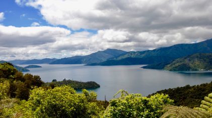 Marlborough Sounds, New Zealand
