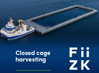 Fiizk_web-ad_SalmonBusiness_320x250_uke_21