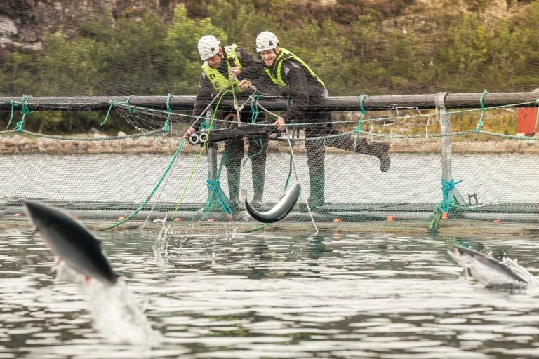 OptoScale launches remote, real-time fish health monitoring module