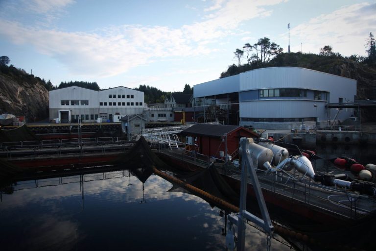 Bremnes Seashore quarantines several employees after proven coronavirus
