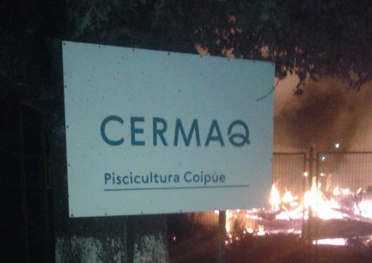 Cermaq Chile suffers from arson from armed attackers