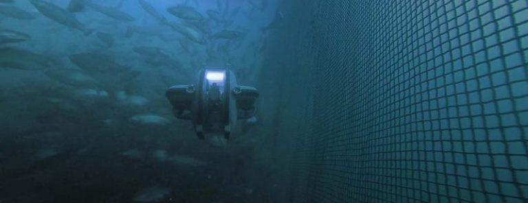 Salmon farmer uses ROV to find and identify missing dead person