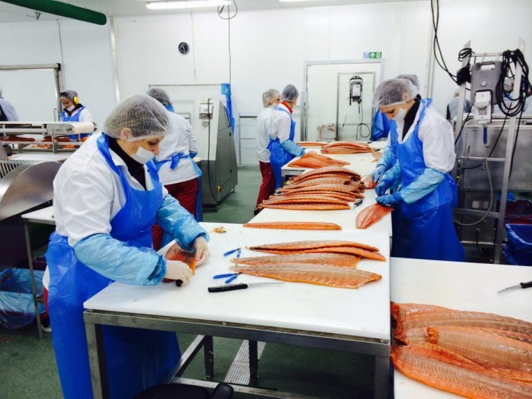Highest salmon price since early March