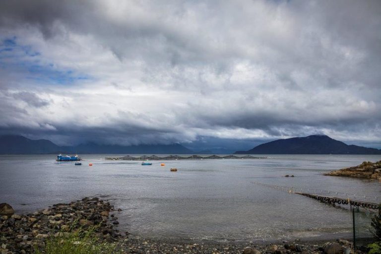 Heavy floods rock Salmones Camanchaca sites