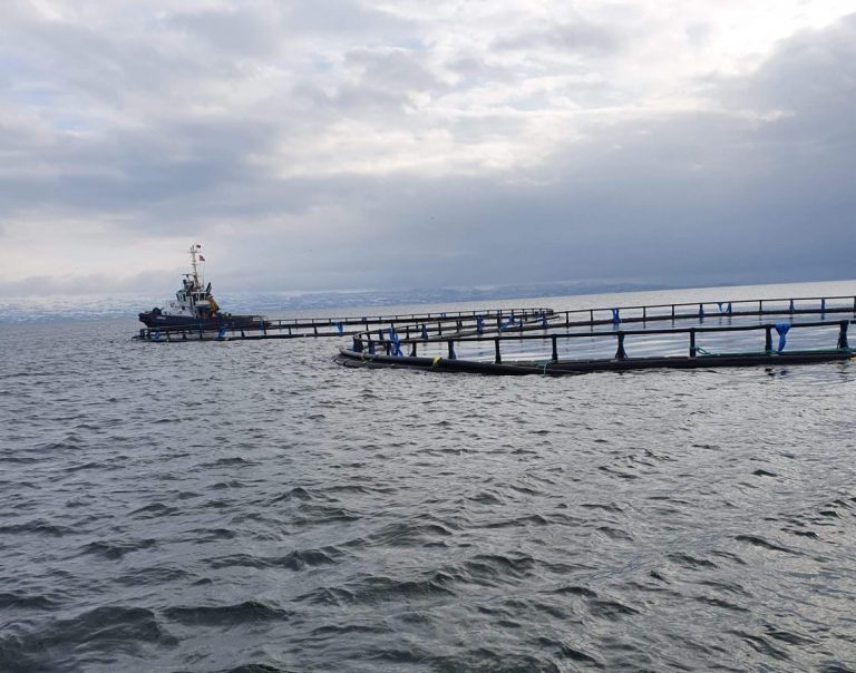 1300 km trip and quarantine: Aquaculture equipment makers work out how to deliver salmon cages to Russia’s closed borders