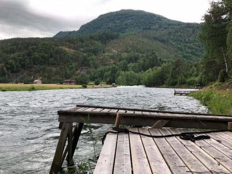 This is why Mowi sourced wild salmon genes from the Årøy river
