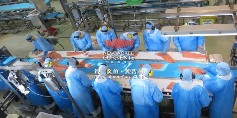China not closed to Chilean salmon imports, but Chinese authorities are inspecting salmon plants