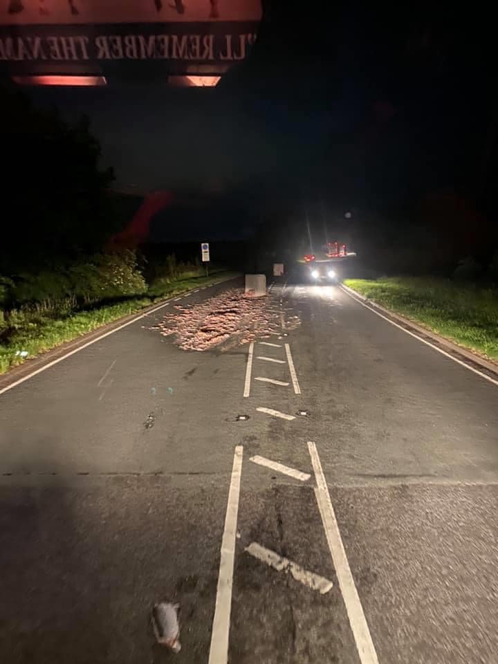 Salmon spillage causes road block