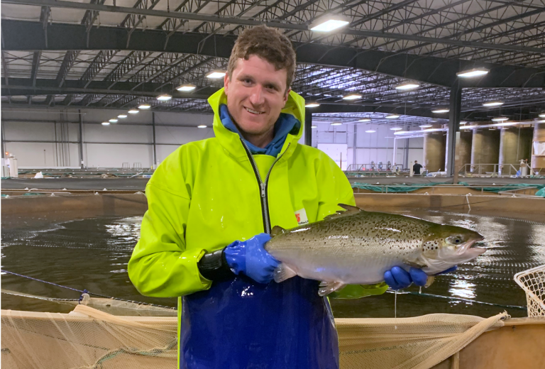 First commercial harvest of land-based salmon raised in Indiana