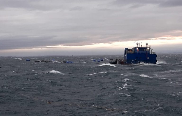 Storm sinks salmon cages containing over 875,000 fish
