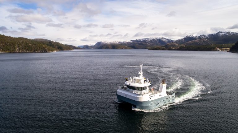 The world’s first “stun and bleed” service catamaran