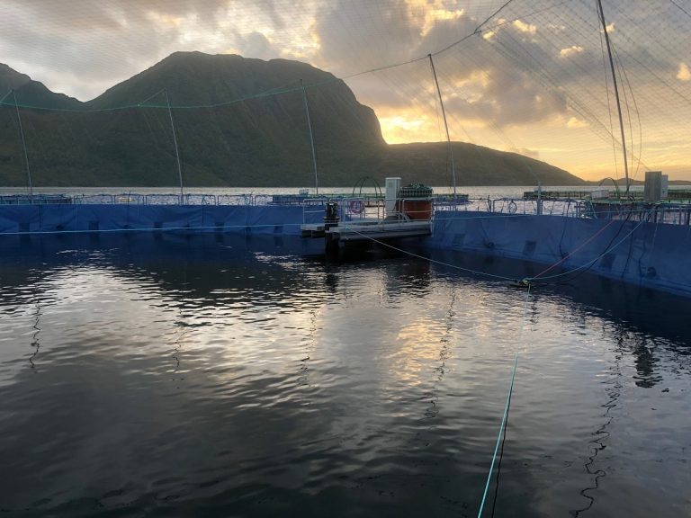 Cermaq Canada to trial new semi-closed containment system