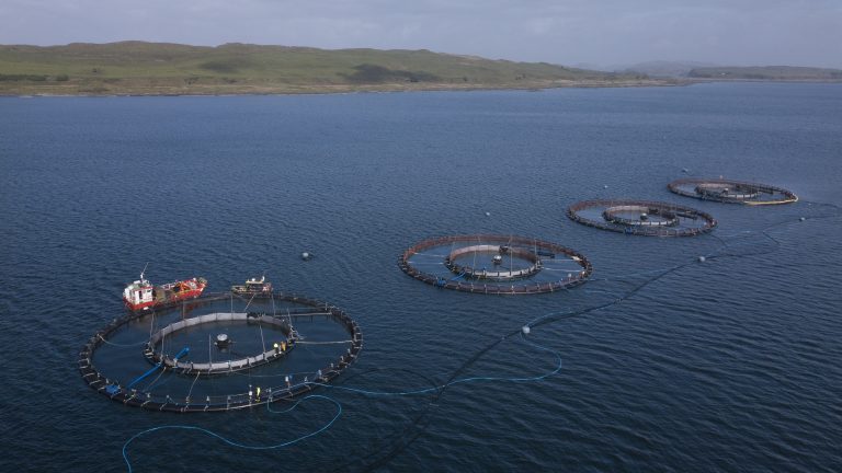 Mowi Scotland first to test new innovative sea lice avoidance systems