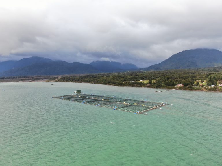 Nova Austral/Trusal joint venture reports ISA