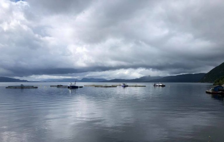 Lowest recorded July salmon price in five years