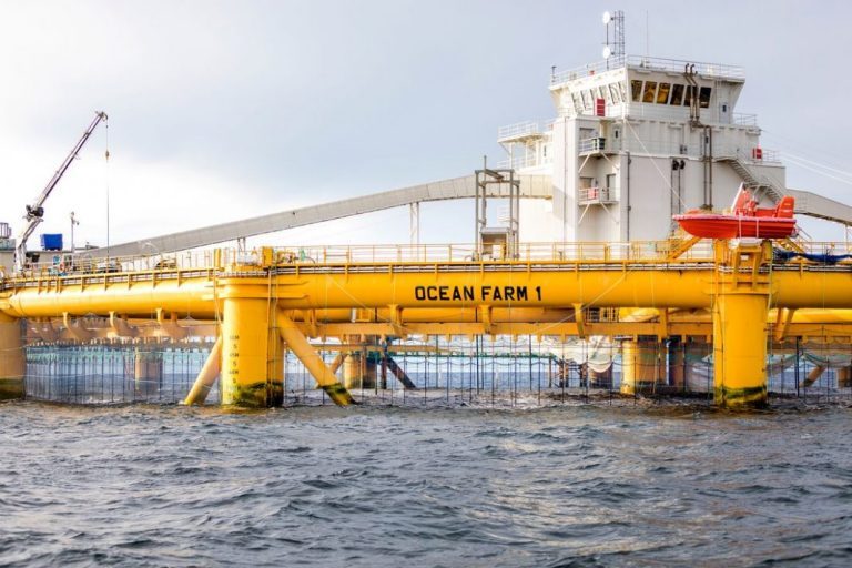 SalMar gets to convert “Ocean Farm’s” eight development licences into ordinary permits